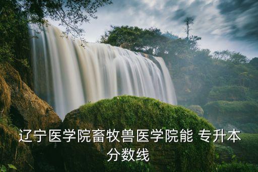  遼寧醫(yī)學(xué)院畜牧獸醫(yī)學(xué)院能 專升本分?jǐn)?shù)線