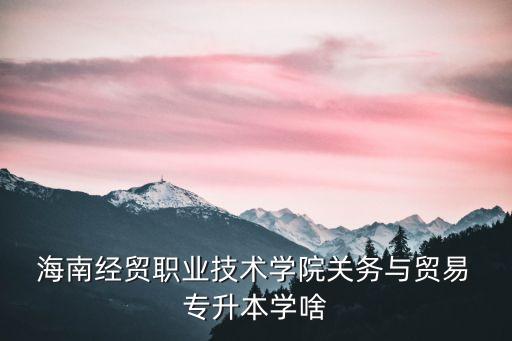  海南經(jīng)貿(mào)職業(yè)技術(shù)學(xué)院關(guān)務(wù)與貿(mào)易 專(zhuān)升本學(xué)啥