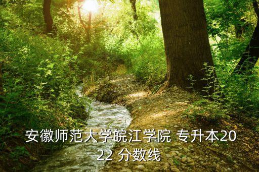  安徽師范大學(xué)皖江學(xué)院 專升本2022 分?jǐn)?shù)線