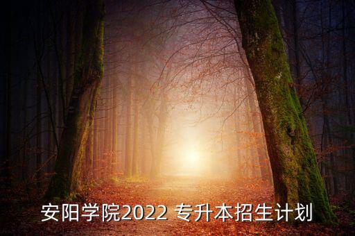 安陽學(xué)院2022 專升本招生計(jì)劃