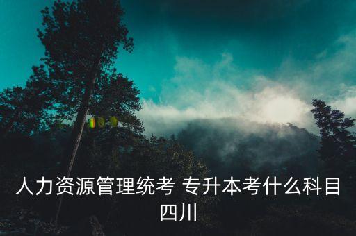 2018年四川省專升本考綱,四川省專升本計(jì)算機(jī)考綱