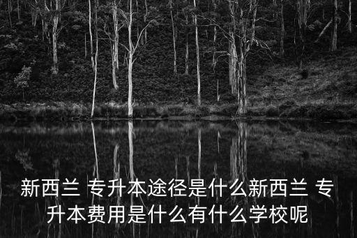 新西蘭 專升本途徑是什么新西蘭 專升本費用是什么有什么學校呢