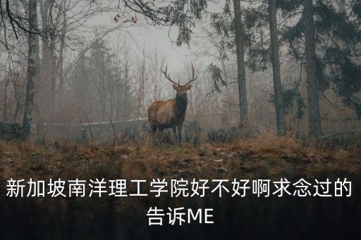 新加坡南洋理工學院好不好啊求念過的告訴ME