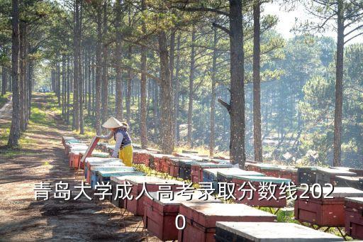  青島大學(xué)成人高考錄取分?jǐn)?shù)線2020