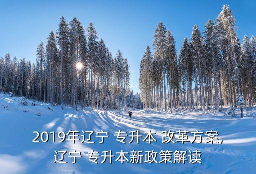 2019年遼寧 專升本 改革方案,遼寧 專升本新政策解讀