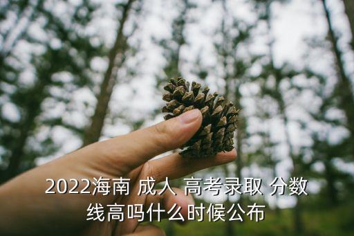 2022海南 成人 高考錄取 分?jǐn)?shù)線高嗎什么時(shí)候公布