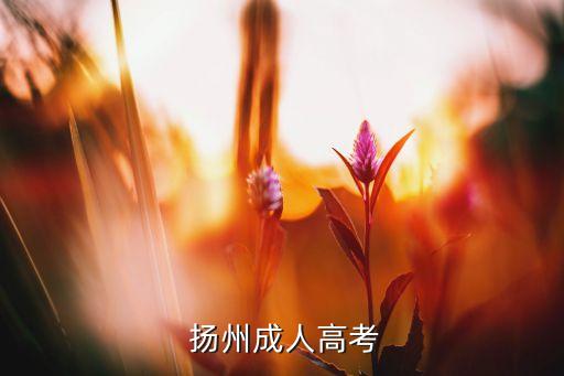  揚(yáng)州成人高考