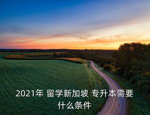 2021年 留學新加坡 專升本需要什么條件