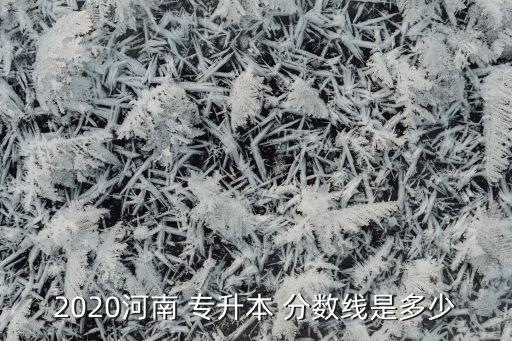 2020河南 專升本 分數(shù)線是多少