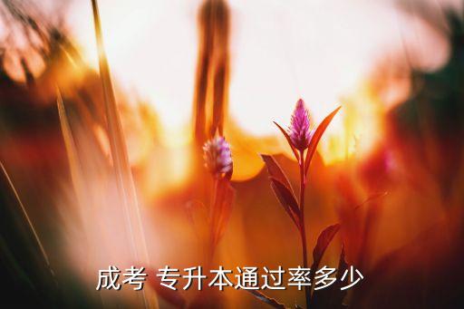 網(wǎng)教專升本認(rèn)可率