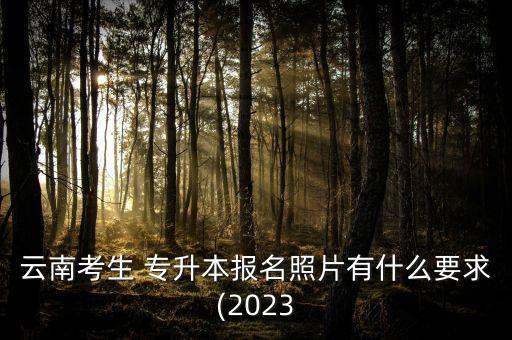 云南考生 專升本報(bào)名照片有什么要求(2023