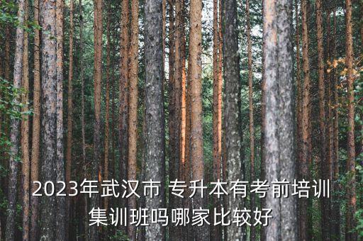 2023年武漢市 專升本有考前培訓(xùn)集訓(xùn)班嗎哪家比較好