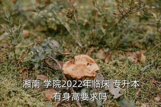  湘南 學院2022年臨床 專升本有身高要求嗎