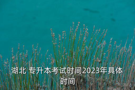 湖北 專(zhuān)升本考試時(shí)間2023年具體時(shí)間