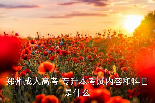 鄭州成人高考 專升本考試內(nèi)容和科目是什么