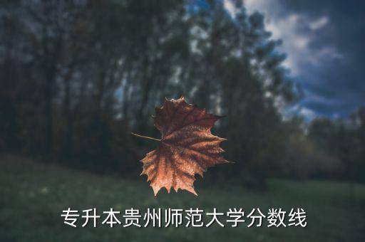  專升本貴州師范大學(xué)分?jǐn)?shù)線