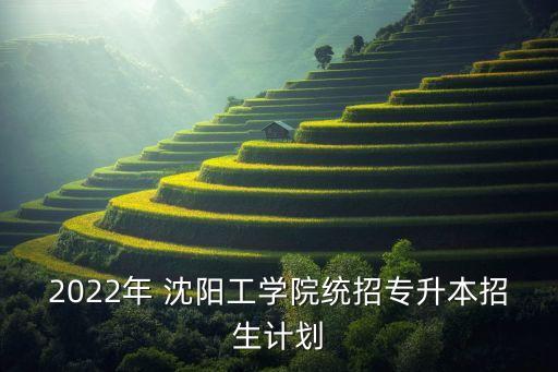 2022年 沈陽工學(xué)院統(tǒng)招專升本招生計劃