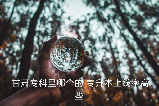  甘肅專科里哪個的 專升本上線率高些