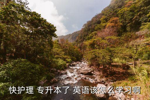 專升本英語高頻詞匯,山東專升本英語高頻詞匯