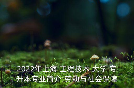 2022年上海 工程技術(shù) 大學(xué) 專升本專業(yè)簡(jiǎn)介:勞動(dòng)與社會(huì)保障