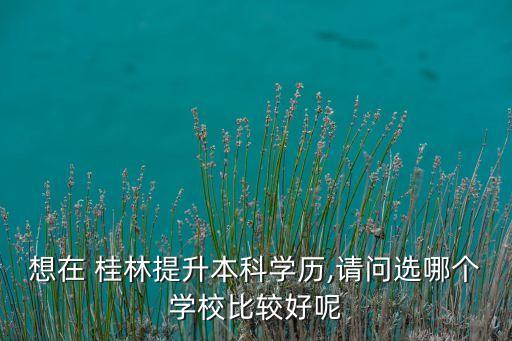 想在 桂林提升本科學(xué)歷,請問選哪個學(xué)校比較好呢