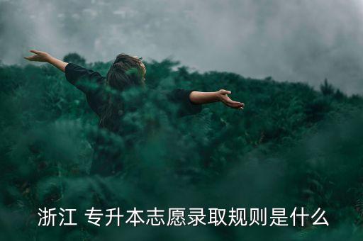  浙江 專升本志愿錄取規(guī)則是什么