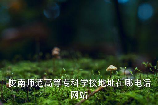  隴南師范高等專科學(xué)校地址在哪電話網(wǎng)站