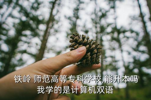  鐵嶺 師范高等?？茖W(xué)校,能升本嗎我學(xué)的是計算機(jī)雙語