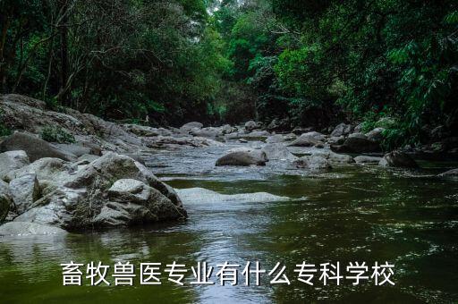 畜牧獸醫(yī)專業(yè)有什么?？茖W(xué)校