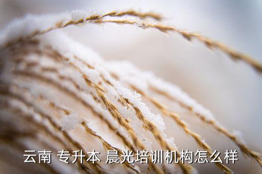 晨光專升本多少錢(qián),昆明晨光教育專升本怎么樣