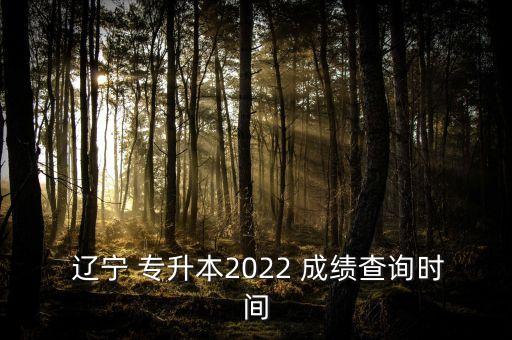  遼寧 專(zhuān)升本2022 成績(jī)查詢時(shí)間