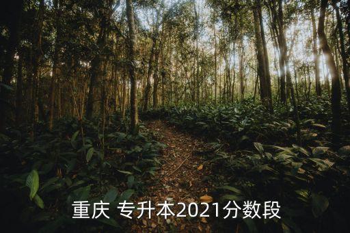  重慶 專升本2021分?jǐn)?shù)段