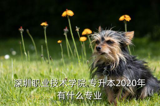 深圳職業(yè)技術(shù)學(xué)院 專升本2020年有什么專業(yè)