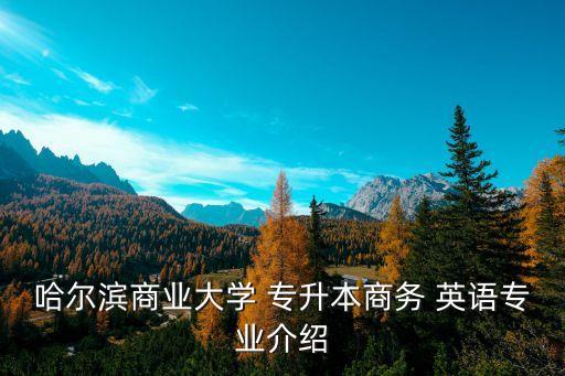 哈爾濱商業(yè)大學(xué) 專(zhuān)升本商務(wù) 英語(yǔ)專(zhuān)業(yè)介紹