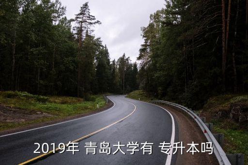 2019年 青島大學(xué)有 專升本嗎