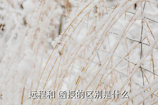 遠(yuǎn)程和 函授的區(qū)別是什么