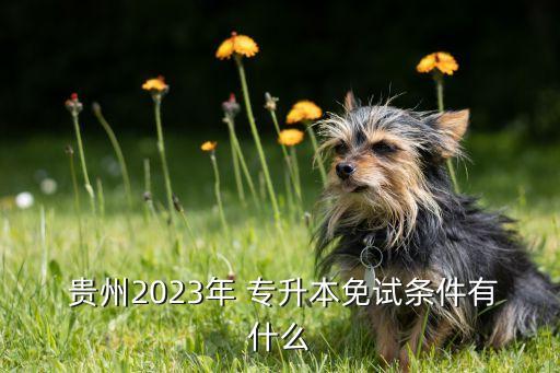  貴州2023年 專升本免試條件有什么