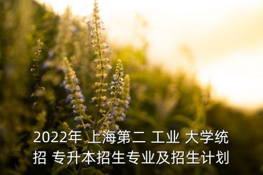 上海第二工業(yè)大學(xué)能專升本嗎