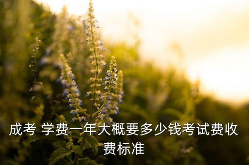 成考 學費一年大概要多少錢考試費收費標準