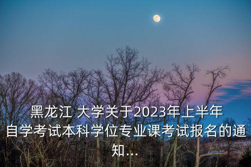  黑龍江 大學關于2023年上半年自學考試本科學位專業(yè)課考試報名的通知...