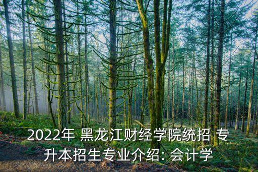 2022年 黑龍江財經(jīng)學(xué)院統(tǒng)招 專升本招生專業(yè)介紹: 會計學(xué)