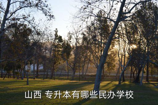 山西 專升本有哪些民辦學(xué)校