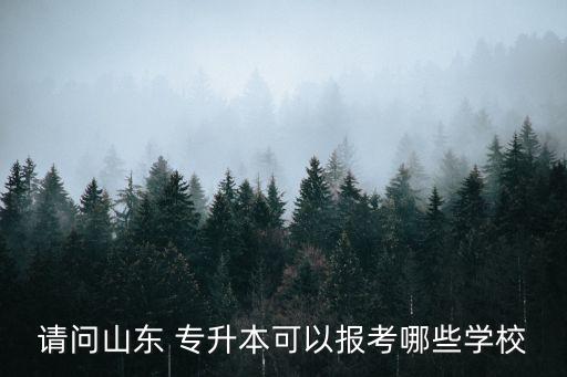 請(qǐng)問(wèn)山東 專升本可以報(bào)考哪些學(xué)校