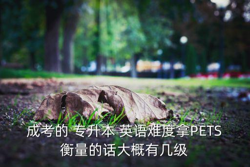 成考的 專升本 英語難度拿PETS衡量的話大概有幾級(jí)