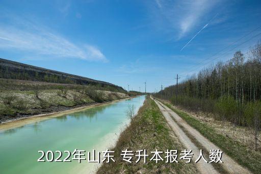 2022年山東 專升本報(bào)考人數(shù)