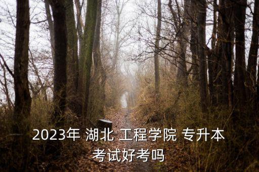 2023年 湖北 工程學院 專升本考試好考嗎