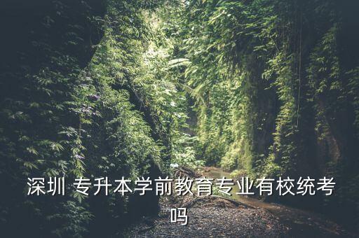  深圳 專升本學(xué)前教育專業(yè)有校統(tǒng)考嗎