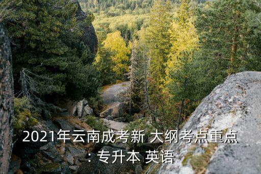 2021年云南成考新 大綱考點(diǎn)重點(diǎn): 專升本 英語(yǔ)