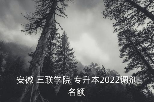 安徽 三聯(lián)學(xué)院 專升本2022調(diào)劑名額