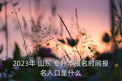 2023年 山東 專升本報名時間報名入口是什么